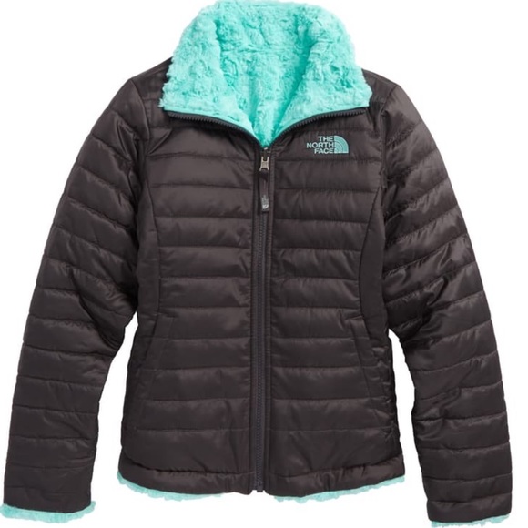 The North Face Other - The North Face Mossbud Reversible Jacket L